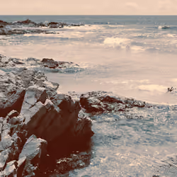 Solitude