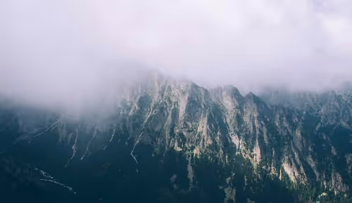 Item #1 Media