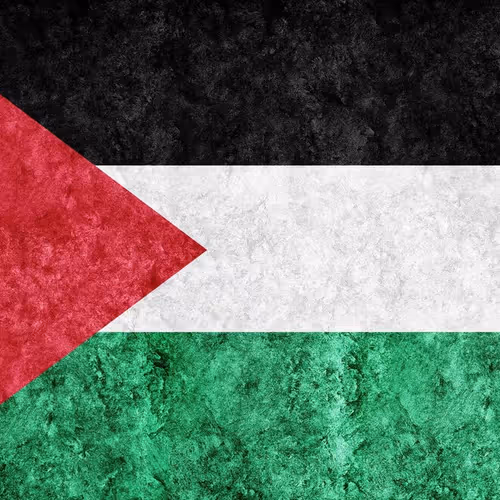 palestine-metallic-flag-textured-flag-grunge-flag_559531-11275
