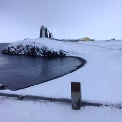 FREE ARCTICA #30244