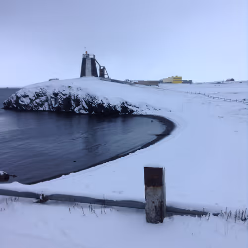 FREE ARCTICA #14455