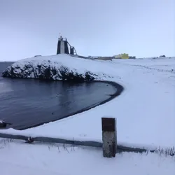 FREE ARCTICA #30248