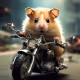 hamster