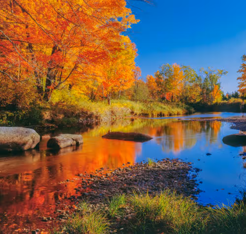 istockphoto-1273224553-612x612