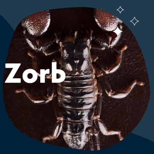 zorb 1