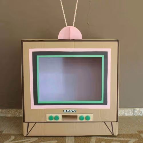 Sony ZR