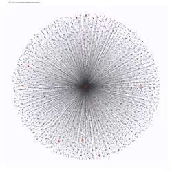 Bryan Zorb