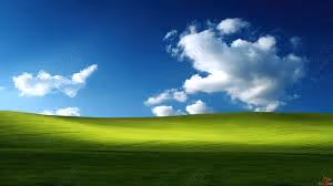 XP
