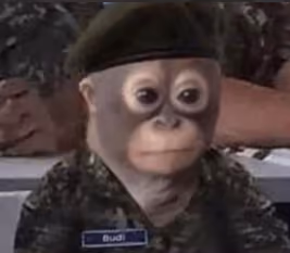 Donky Donky love this monkey