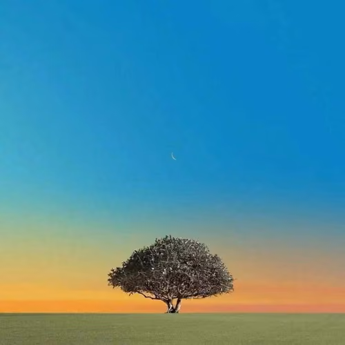tree
