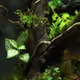 Zora Posts