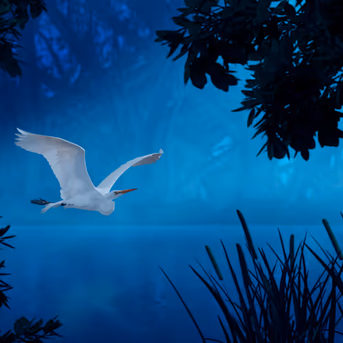 Ethereal Flight