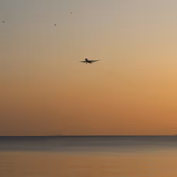 Fly