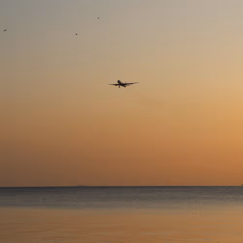 Fly
