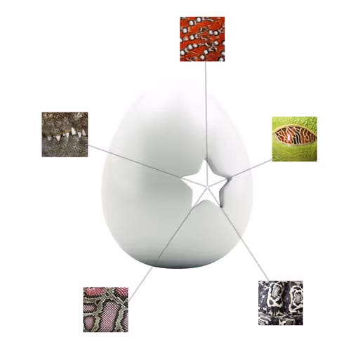 Item #1 Media