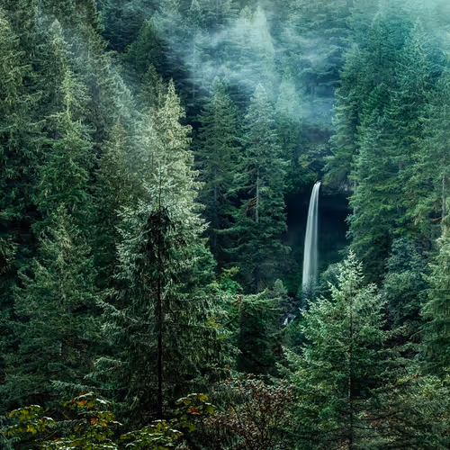 April 1968 1