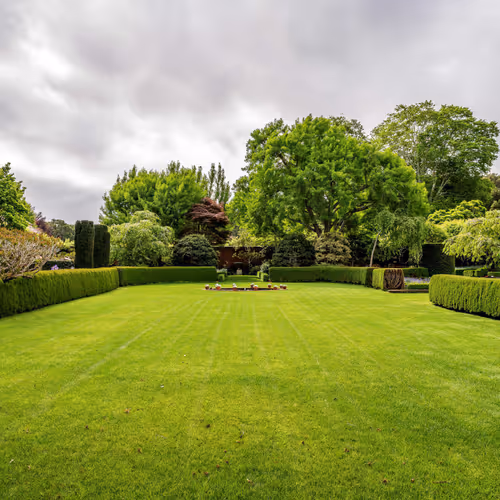 lawn on the lawn