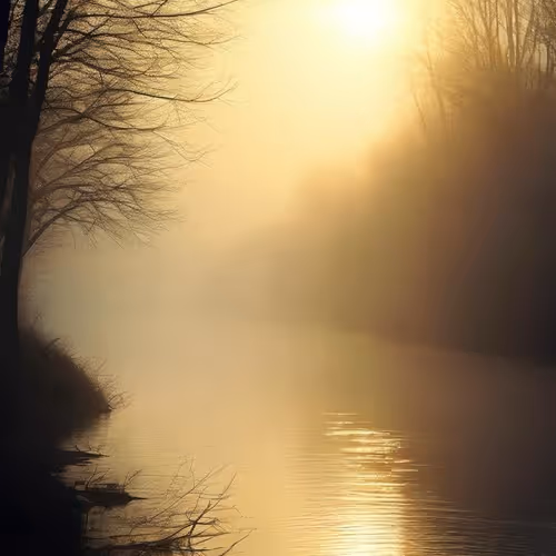 Grace in the Sunlit Mist