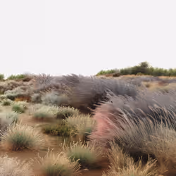outburst 10