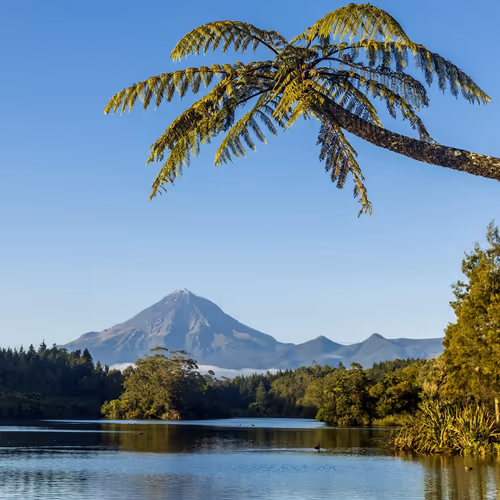 Danielle 219 1