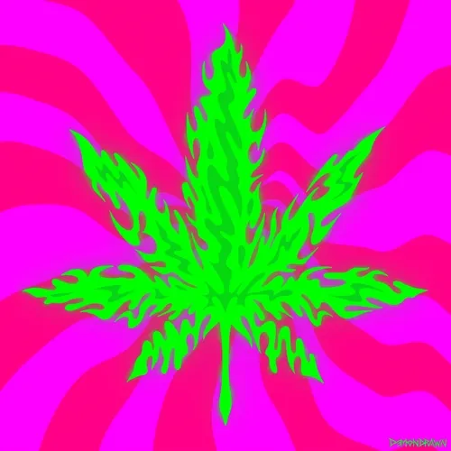 4202024