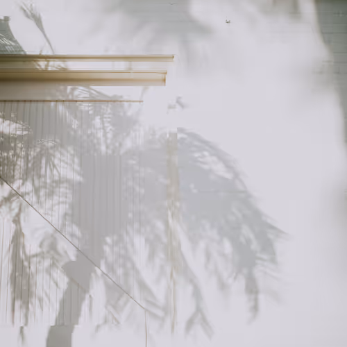 Shadows of a tree 36