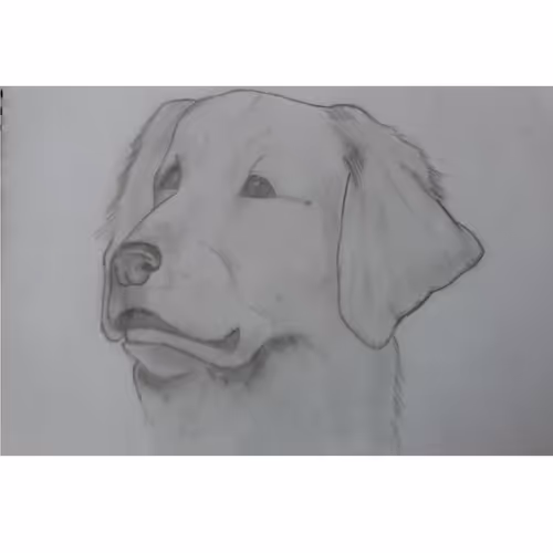 Amazing dog