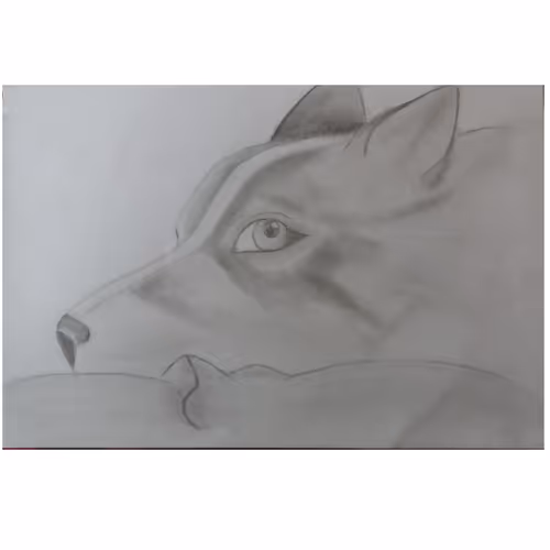 Cute dog