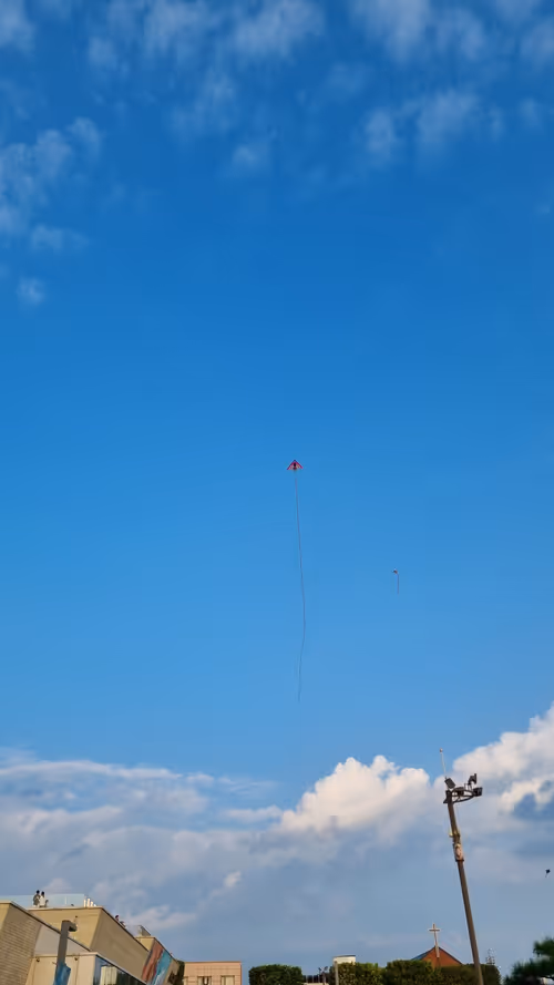 Item #1 Media