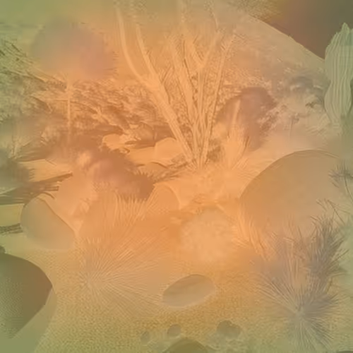 Flower Sunset