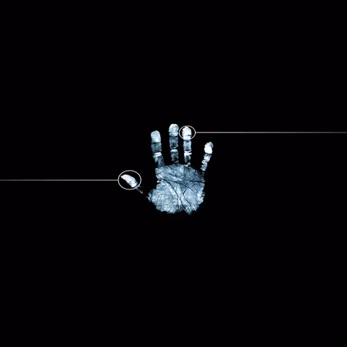 five 11