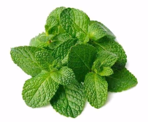 Mint 1