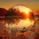 Autumn Zorb