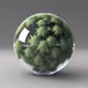 OG Zorb