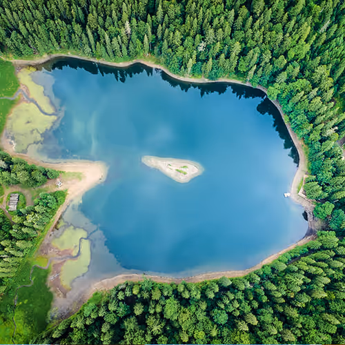 The Lake
