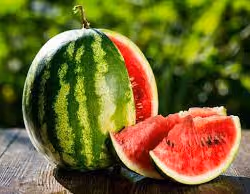 WATERMELON 19
