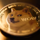 DOGE