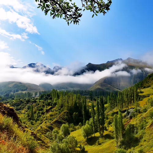 Nature