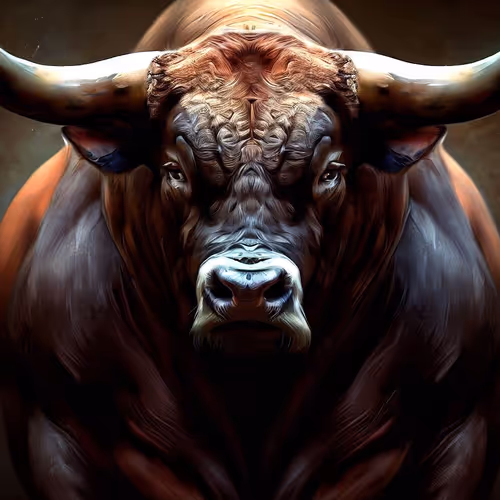 Parmesan d'Bull 2186
