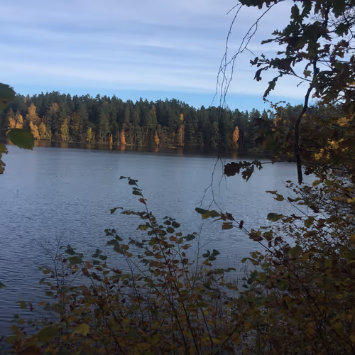lake shor