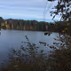 lake shor