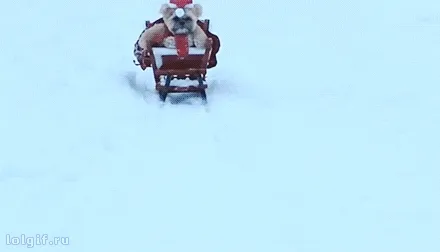 Christmas is coming #1