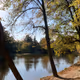 The Autumn's Breath