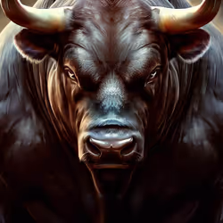 Andorra d'Bull 4080