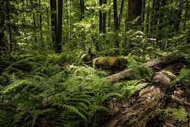 images (3)