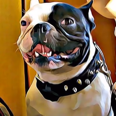 mali_avatar