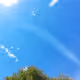 APlettonZ