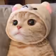 klikamyairdropy