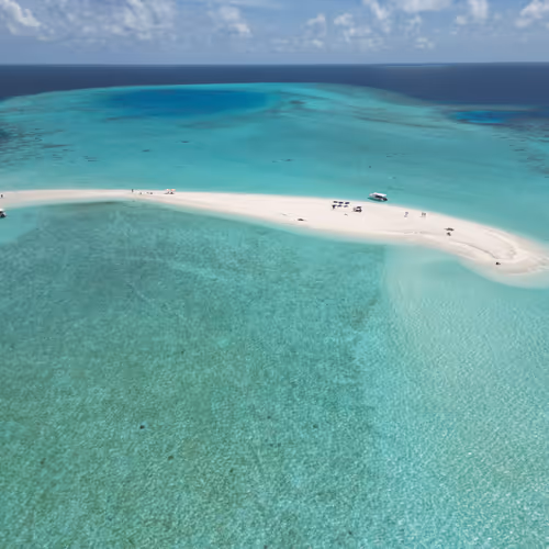 🏝️🏝️🏝️