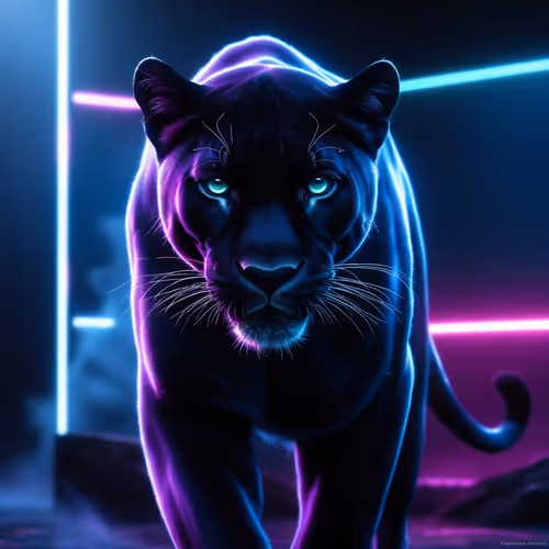 zaxarrr